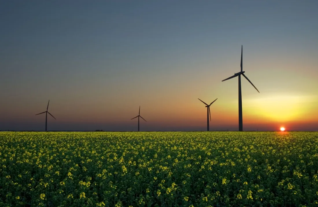 A wind farm of many turbines under a cloudy sky in Iowa.