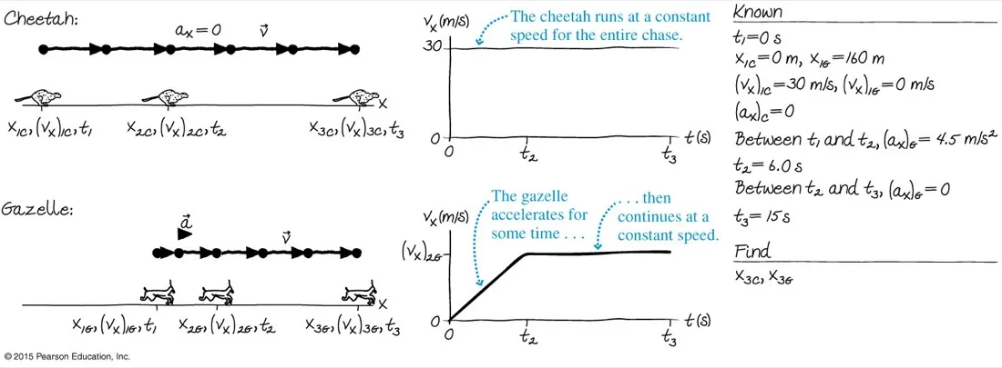 A two-object chase problem: motion diagrams and velocity-time graphs for a cheetah running at a constant 30 metres per second and a gazelle accelerating then running steadily, with a full list of known values and the positions to be found