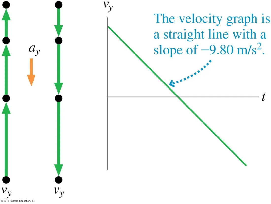 Two motion diagrams, one with upward velocity vectors shortening and one with downward vectors lengthening, both with a downward acceleration vector, beside a velocity-time graph that is a straight line of slope minus 9.80 crossing zero