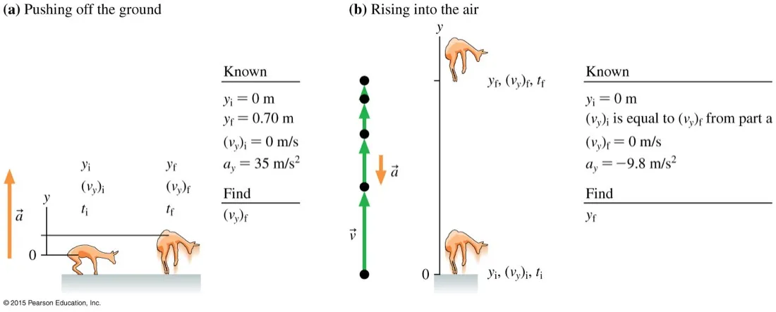 A kangaroo jump in two phases: pushing off the ground with an upward acceleration of 35 metres per second squared over 0.70 metres, then rising into the air with an acceleration of minus 9.8 metres per second squared, each with its own list of known values