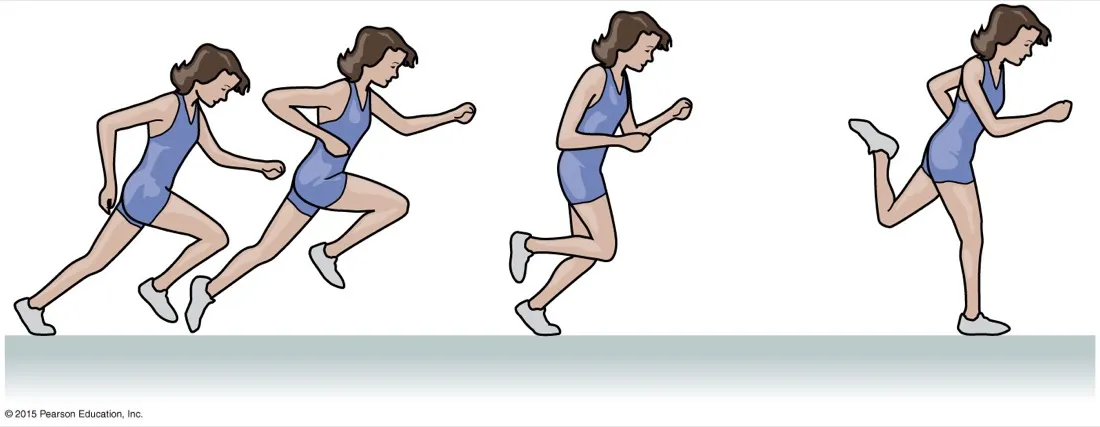 Four drawn frames of a runner, the gaps between frames widening from left to right