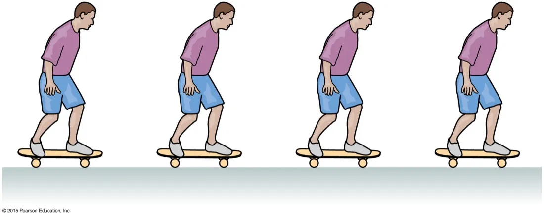 Four drawn frames of a skateboarder rolling along, the frames equally spaced