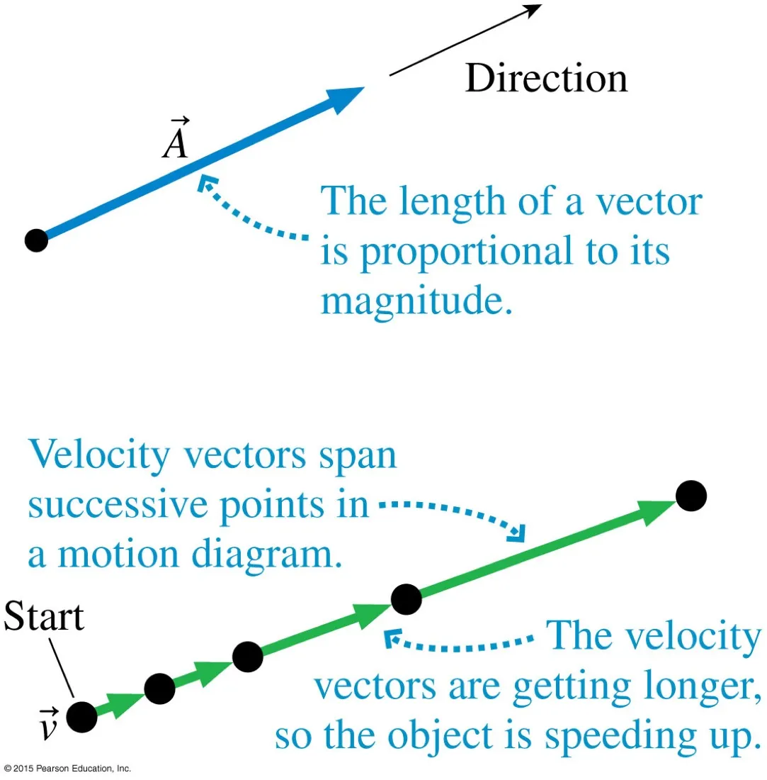 Top: a labelled vector A with a note that its length is proportional to its magnitude. Bottom: a motion diagram with velocity vectors spanning successive points and lengthening