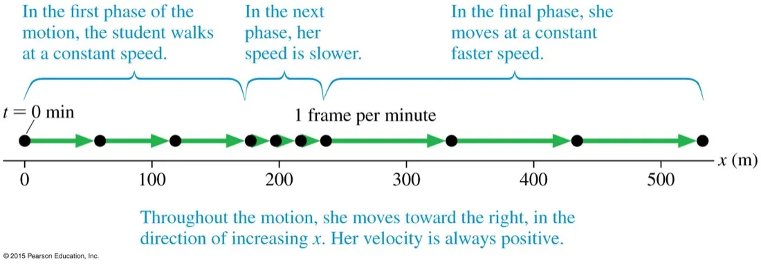 A motion diagram of the student's walk annotated in three phases: constant speed, then slower, then constant faster speed, with a note that she always moves toward increasing x so her velocity is always positive