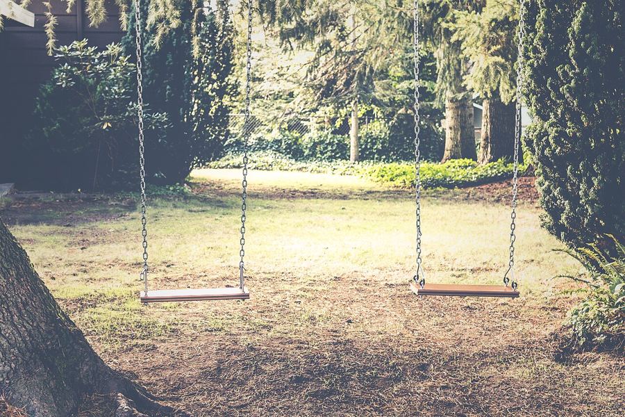 Two empty swings hanging from a tree branch in a park